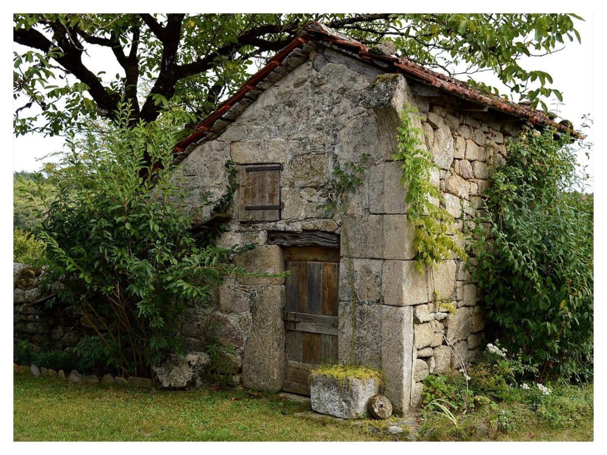 A L'Ombre Du Tilleul Comiac Dış mekan fotoğraf